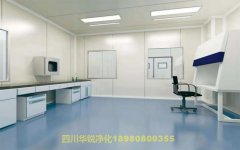 醫(yī)學BSLＧ２實驗室檢測和驗收要求